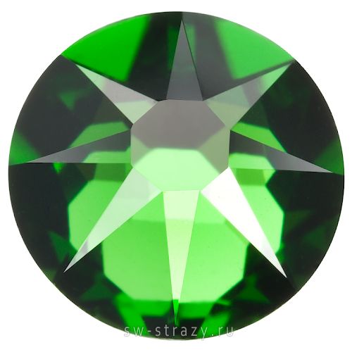 2088 ss 34 Fern Green F